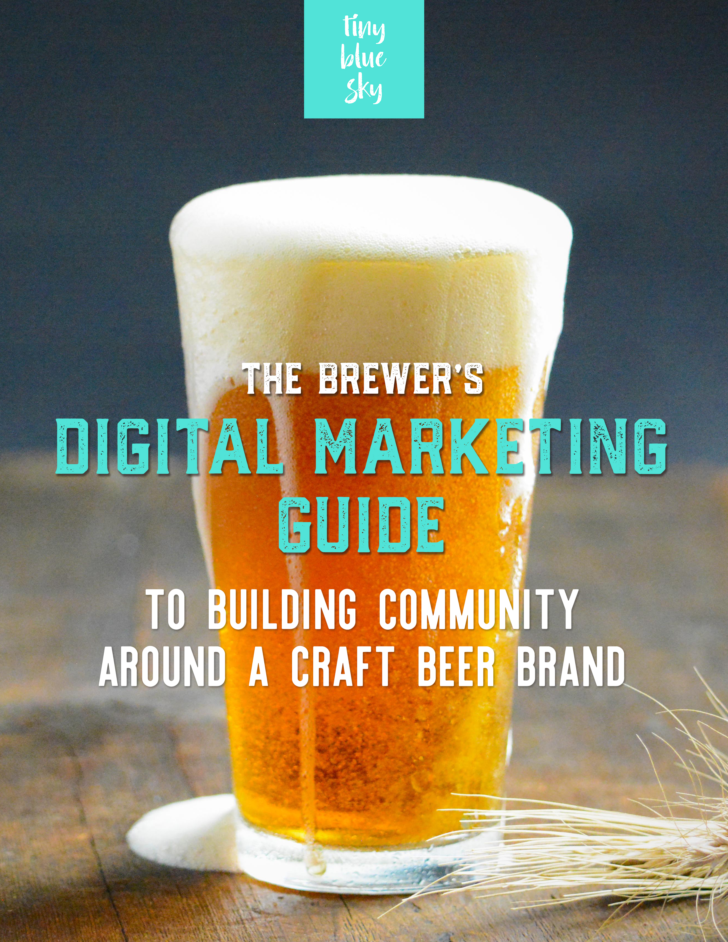 Cover - Tiny Blue Sky The Brewer's Digital Marketing Guide to Building Community Around a Craft Beer Brand